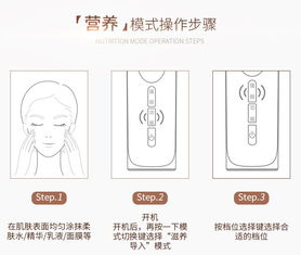 金稻 精华导入仪美容仪器脸部家用导出面部嫩肤仪离子面膜小洁面仪kd9960